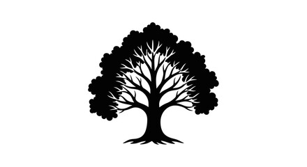 Silhouette of a Large Oak Tree with Detailed Branches and Leaves © Lusi