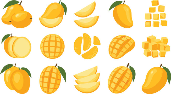 Mango fruit mega set flat vector collection. Whole, sliced, diced and cut mango variations. Bright tropical illustrations for food design, summer themes and healthy lifestyle.