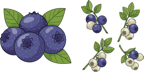 Blueberry vector set with flowers and leaves in hand drawn style. Fresh and blooming berry collection isolated on white background. Natural organic food illustration. © HELEN QUEEN