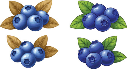 Blueberry vector set with green and dried leaves. Fresh and dried berry collection isolated on white background. Natural organic food illustration for packaging and design. © HELEN QUEEN