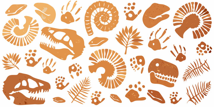 Paleontological collection featuring dinosaur fossils and prehistoric footprints