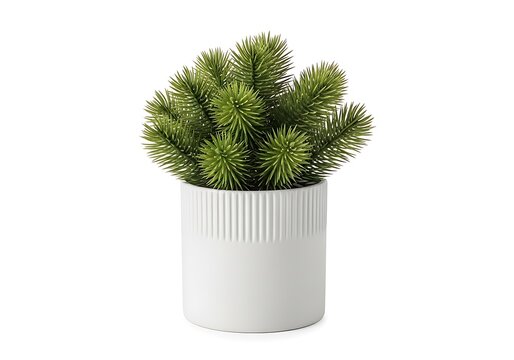 Artificial green pine plant in a white ribbed ceramic pot isolated on white background