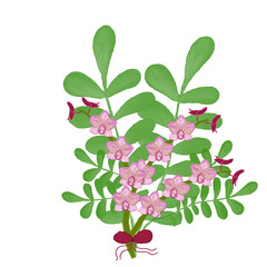 Obraz premium Hand-painted floral arrangement featuring pink orchids and lush green leaves tied with a red ribbon. Perfect for wedding invitations, greeting cards, and romantic stationery