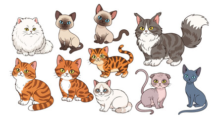 Fototapeta premium cartoon cat breeds bundle, 9 cats in one frame, Persian Siamese Maine Coon British Shorthair Bengal Scottish Fold Ragdoll Sphynx Russian Blue, cute vector illustration, flat design