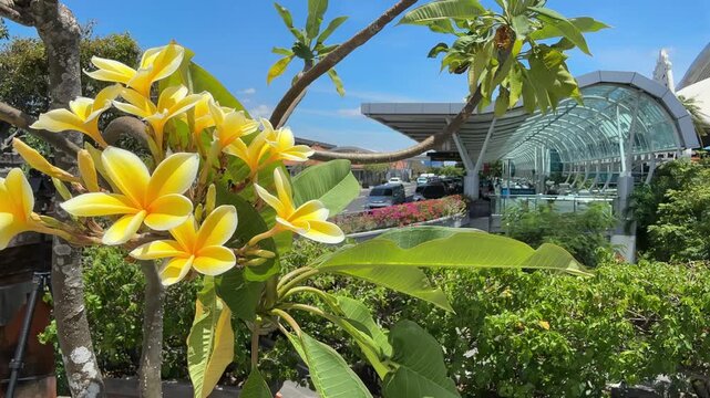 Bali Indonesia International Airport I Gusti Ngurah Rai Building Architecture Morning