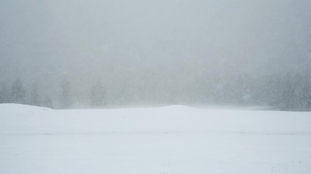 Winter snowstorm and whiteout blizzard landscape video footage. Heavy snowfall covering the flat ground under thick gray fog. Static camera capturing extreme cold weather.