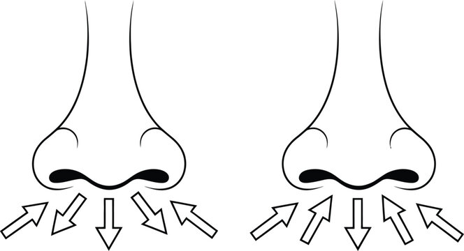 Two Noses with Arrows Indicating Inhalation and Exhalation