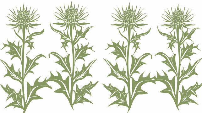 Four stylized, olive-green thistle plants against a white background in a symmetrical pattern