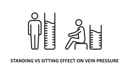 Fototapeta premium An illustration comparing the effects of standing and sitting on vein pressure, showing a standing person with lower vein pressure and a sitting person with higher vein pressure.