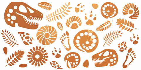 Paleontological illustrations dinosaur skulls fossils and prehistoric plant life © Apurba