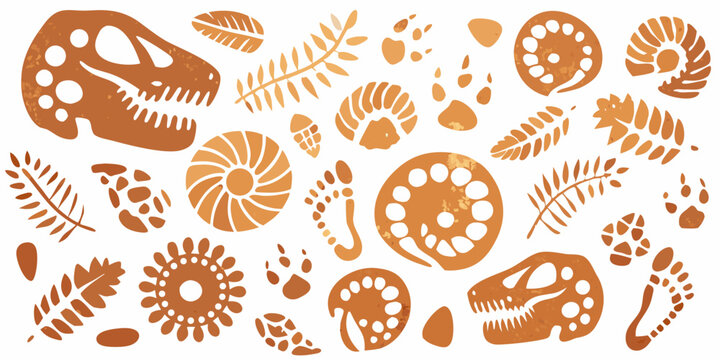 Paleontological illustrations dinosaur skulls fossils and prehistoric plant life