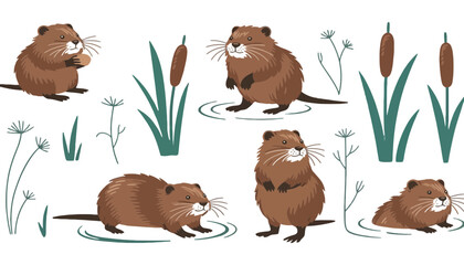 Fototapeta premium A beaver vector illustration with cattails and water plants in a natural setting