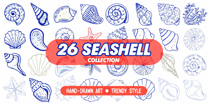 A collection of twenty six hand drawn seashell illustrations in blue and red