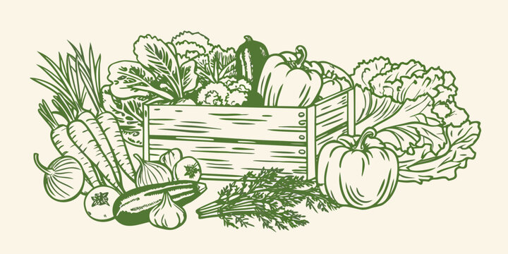 A wooden crate overflowing with a vibrant assortment of fresh vegetables