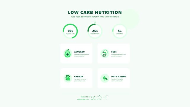 Low Carb Nutrition Diet Dashboard Infographic Animation