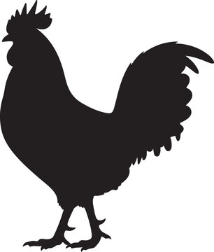 Rooster Black Silhouette Vector Farm Chicken Animal Illustration