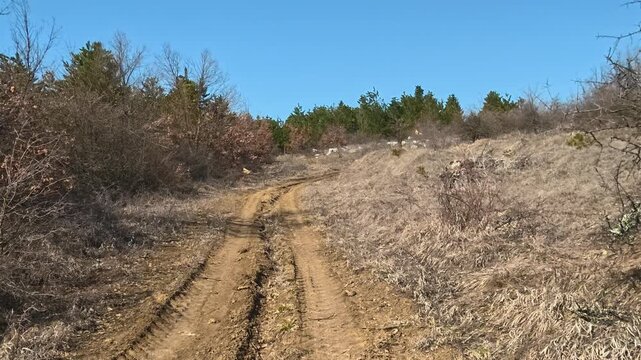 Mountain Trail Walk with Distant Pines. Vrmdza, Mount Rtanj area. Balkans, Serbia.
