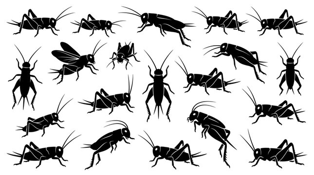 Cricket Insect Silhouette Vector Illustration Collection | Black Cricket Artwork | Diverse Cricket Vector Designs for Nature, Entomology, Logos, Decorative Branding, and Creative Graphic Projects