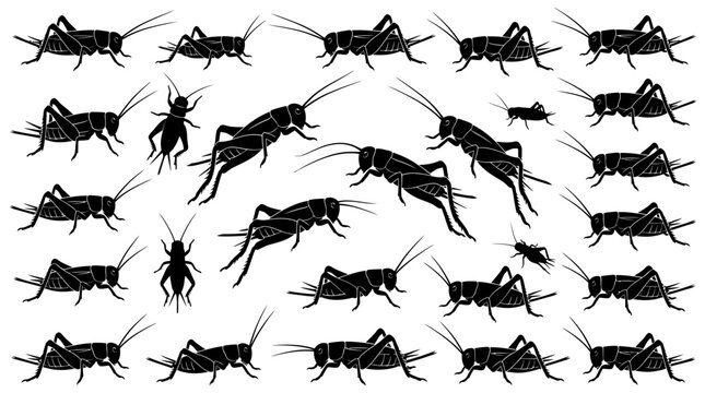 Cricket Insect Silhouette Vector Illustration Collection | Black Cricket Artwork | Diverse Cricket Vector Designs for Nature, Entomology, Logos, Decorative Branding, and Creative Graphic Projects