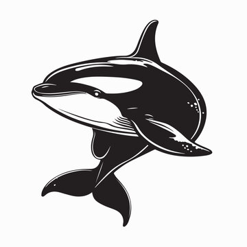 Killer Whale Silhouette Icon Isolated on White Background