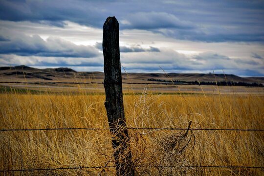 A lone Montana fence post with golden prairie beyond