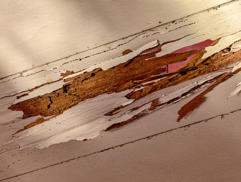 An interior house wall damaged by termites hidden behind paint revealing hollow wood and structural decay problems.