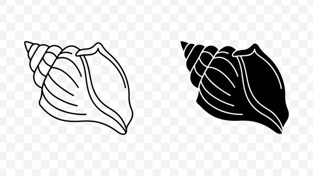 Minimalist seashell line art icons in black and white for design elements isolated on Transparent Background
