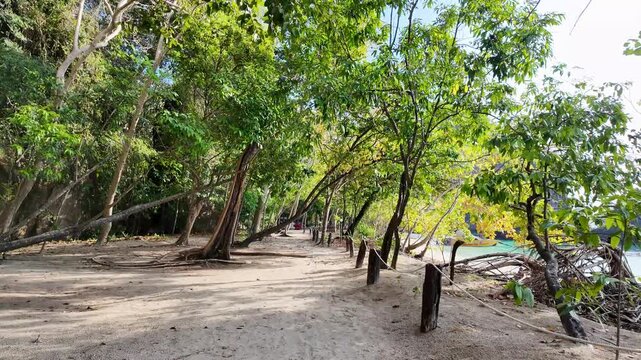 Discover the tranquil entryway to Thanboke Khoranee National Park on Ko Hong Island in Krabi, Thailand. The lush greenery and soft sunlight create a peaceful atmosphere on the sandy path.