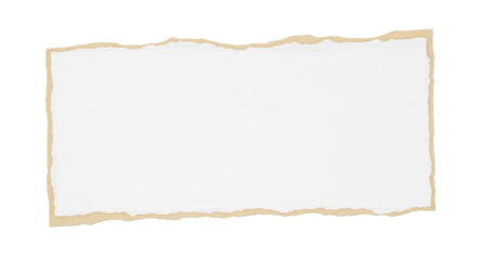 Fototapeta premium Paper Rip Scrap With Handmade Look Isolated on Transparent Background