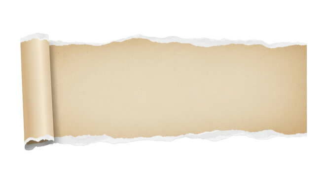 Paper Tear Effect Scrapbook Element With Shadow Isolated on Transparent Background