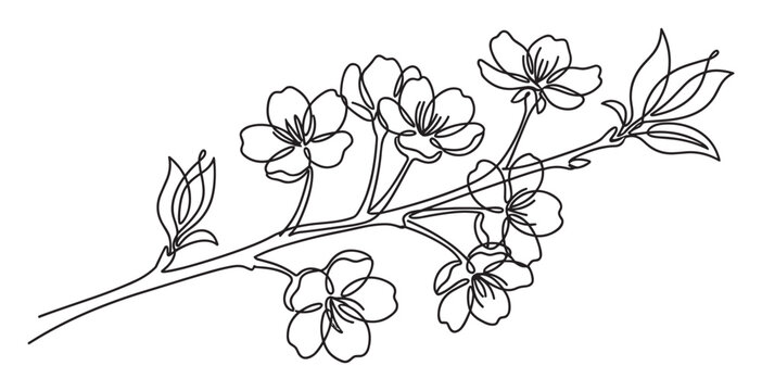 Elegant black continuous line drawing of a blooming cherry blossom branch with delicate flowers and leaves, creating a minimalist floral illustration