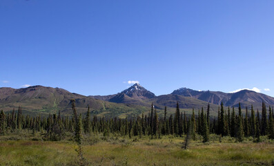 Obraz premium Jagged mountains on the Denali Highway