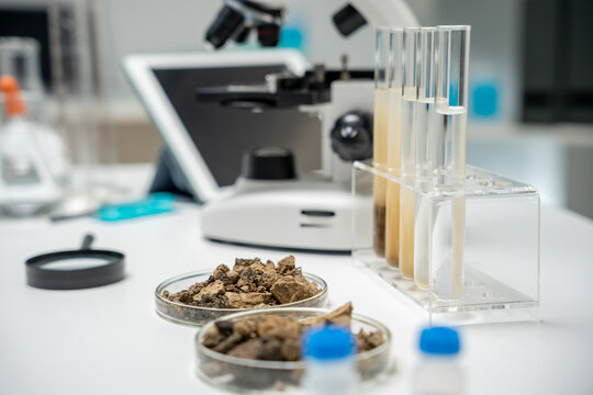 scientist, earth science, natural resource sustainability, soil minerals, laboratory testing, laboratory experiments, testing for chemical residues, Environmental science