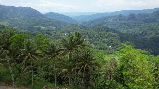 Aerial drone footage of a wide green valley with coconut trees, many hills and villages, nearby a road, in Pacitan regency, Java island, Indonesia