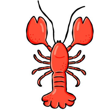 Cute hand drawn lobster doodle graphic element for beach summer