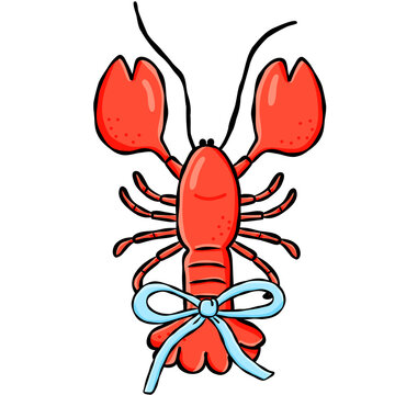 Cute hand drawn lobster doodle graphic element for beach summer