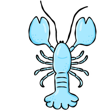 Cute hand drawn lobster doodle graphic element for beach summer