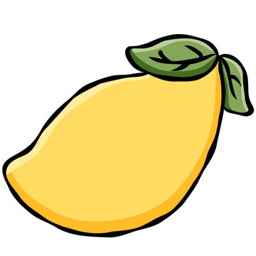 Cute hand drawn yellow lemon with green leaves doodle illustration