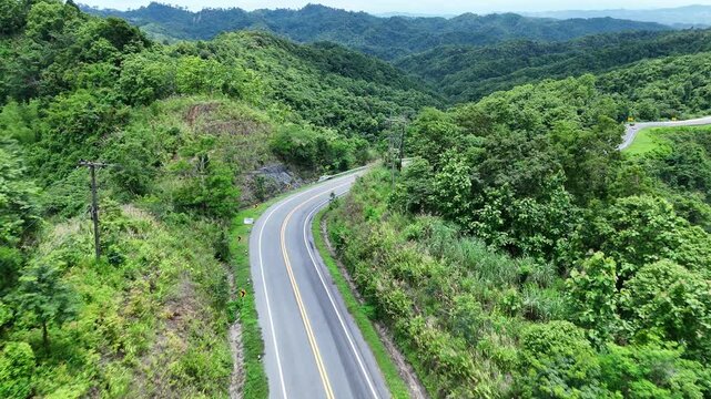 Winding Road Through Lush Green Hills and Forests Offering Scenic and Tranquil Views of Natures Landscape for Travel Enthusiasts