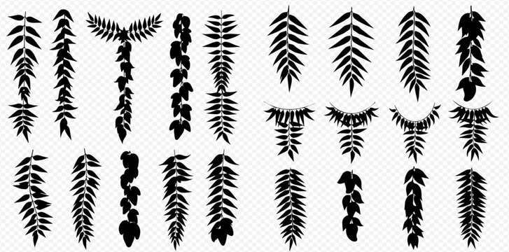 Set of black silhouettes of hanging plants and leaves on a transparent background, vector illustration.