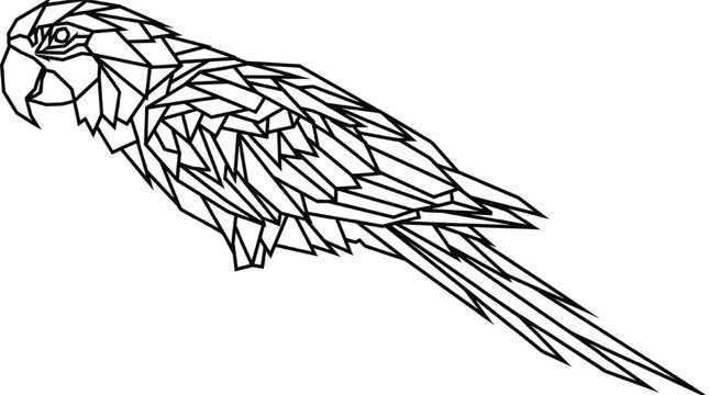 Modern Geometric Parrot Side Profile Vector | Minimalist Polygon Bird Line Art Isolated Transparent PNG
