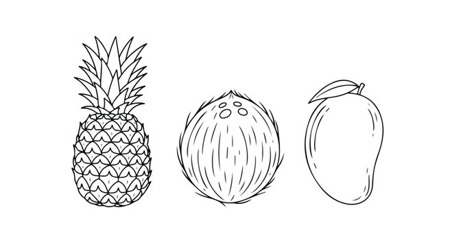 Minimalist tropical fruit line art set, hand drawn pineapple coconut and mango vector icons, black and white exotic food illustrations for coloring