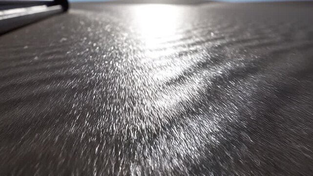 Sunlight reflecting off the surface of dark fur texture