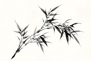 Obraz premium A traditional Chinese ink brush painting of a graceful bamboo branch with delicate leaves. Expressive and dynamic black ink brushstrokes, capturing the spirit of the plant. Spontaneous ink wash.