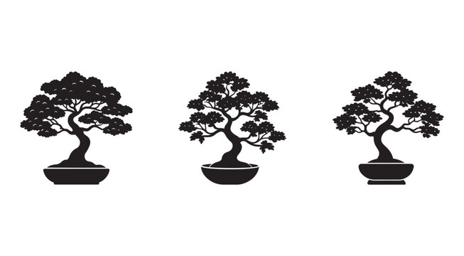 Bonsai trees in pots  three black silhouettes isolated on white background  bonsai trees  plants