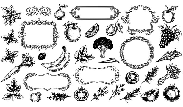 Hand-drawn black and white food fruit borders vector set