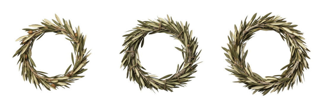 Set and collection of antique ancient Roman olive leaf wreaths and laurel crown symbols isolated on white transparent PNG background.