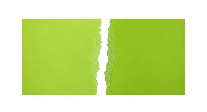 Green paper torn in half on transparent background.
