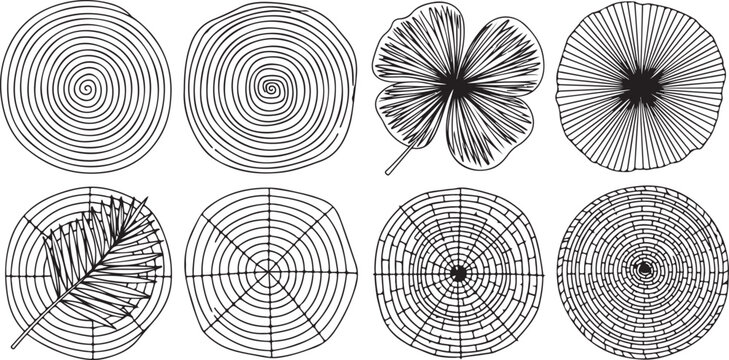 Complex mathematical patterns created with parametric curves and polar coordinates Vector