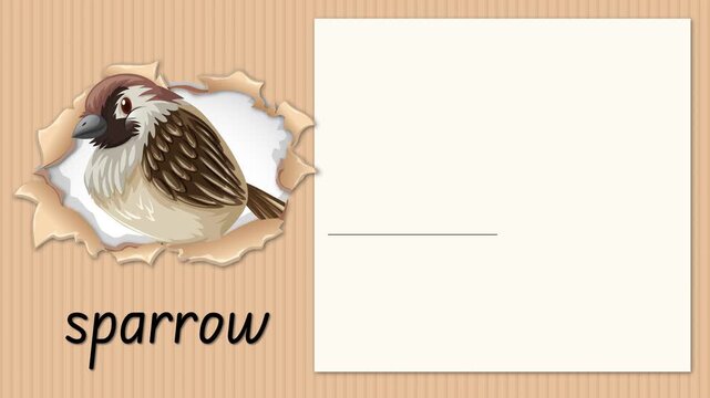 Educational Alphabet Animation for Letter S with Sparrow Illustration